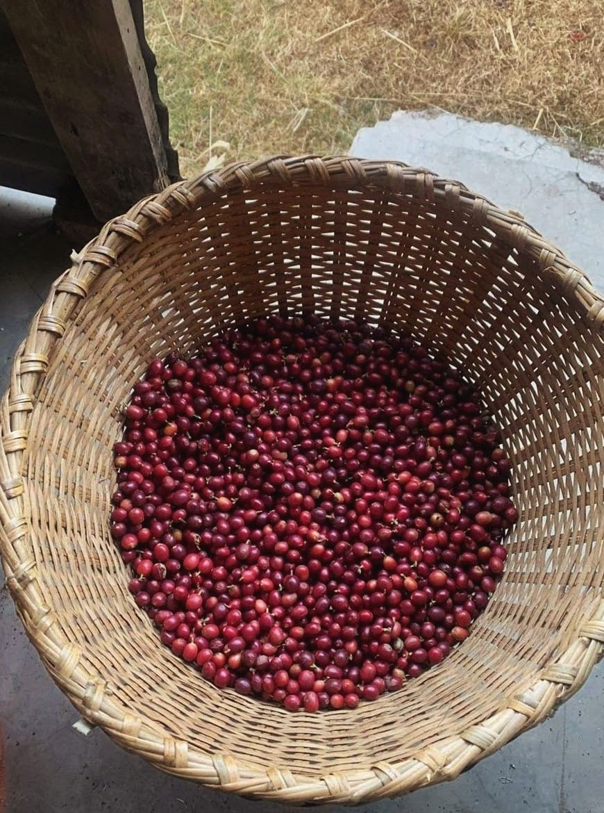 WhatsApp Image 2025-08-31 at 15.52.20